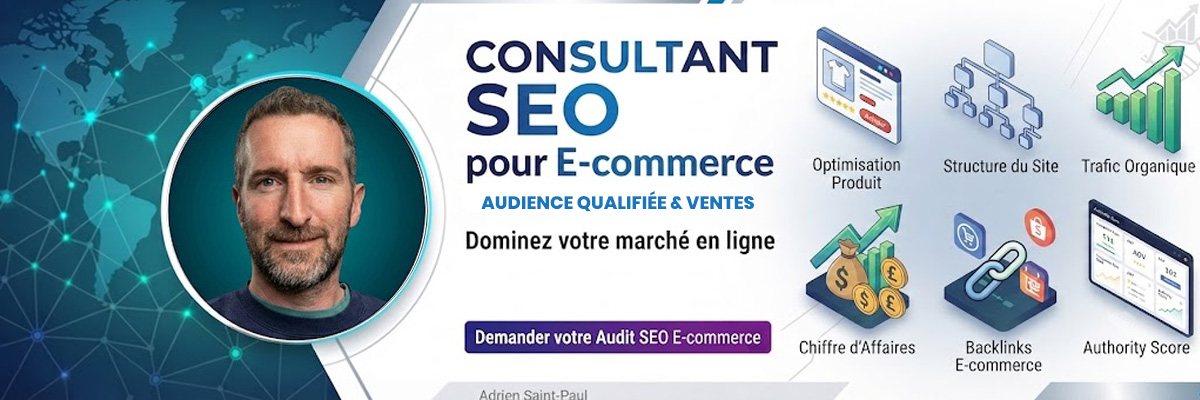 consultant SEO e-commerce en freelance