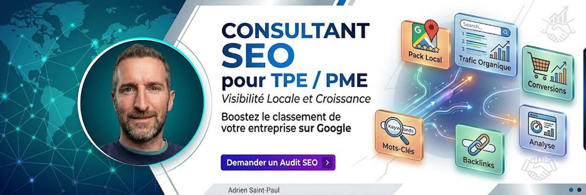 consultant SEO PME TPE en freelance
